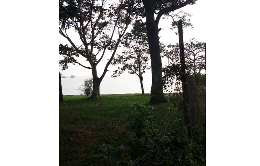 WhatsApp Image 2021-08-30 at 10.22.58.jpg